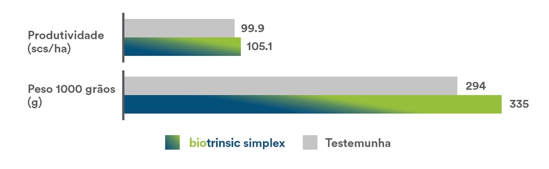 Teste comparativo de produtividade  de uma planta controle e uma com biotrinsic. Há um aumento de produtividade e de peso de 1000 grãos.