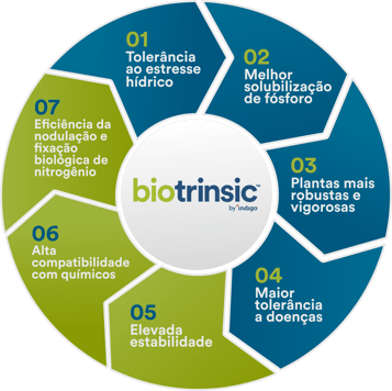 Ativo 1-2