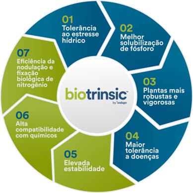 Ativo 1-2