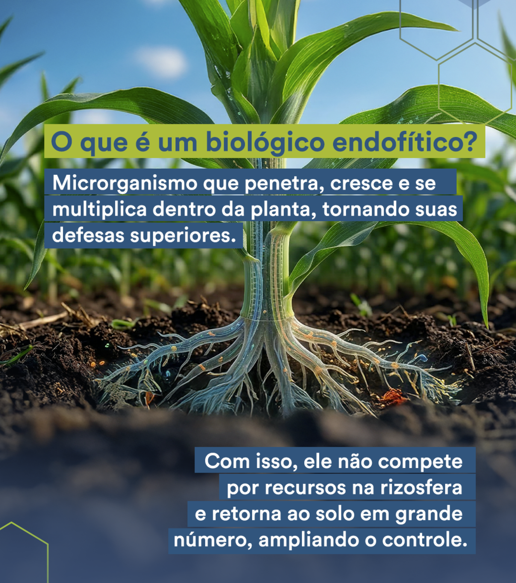 Captura de tela 2026-04-09 112157