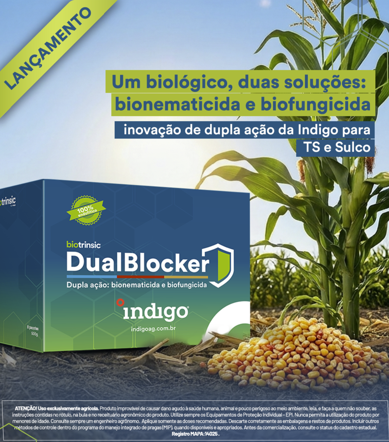 Captura de tela 2026-04-09 112929