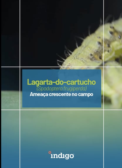 Captura-de-Tela-2025-04-22-às-22.08.52