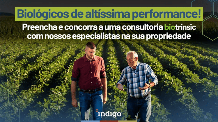 bannersorteio