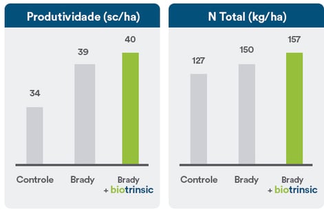 .
Grafico mostrando maior produtividade e N totalem soja para as
plantas onde aplicou-se o biotrinsic.