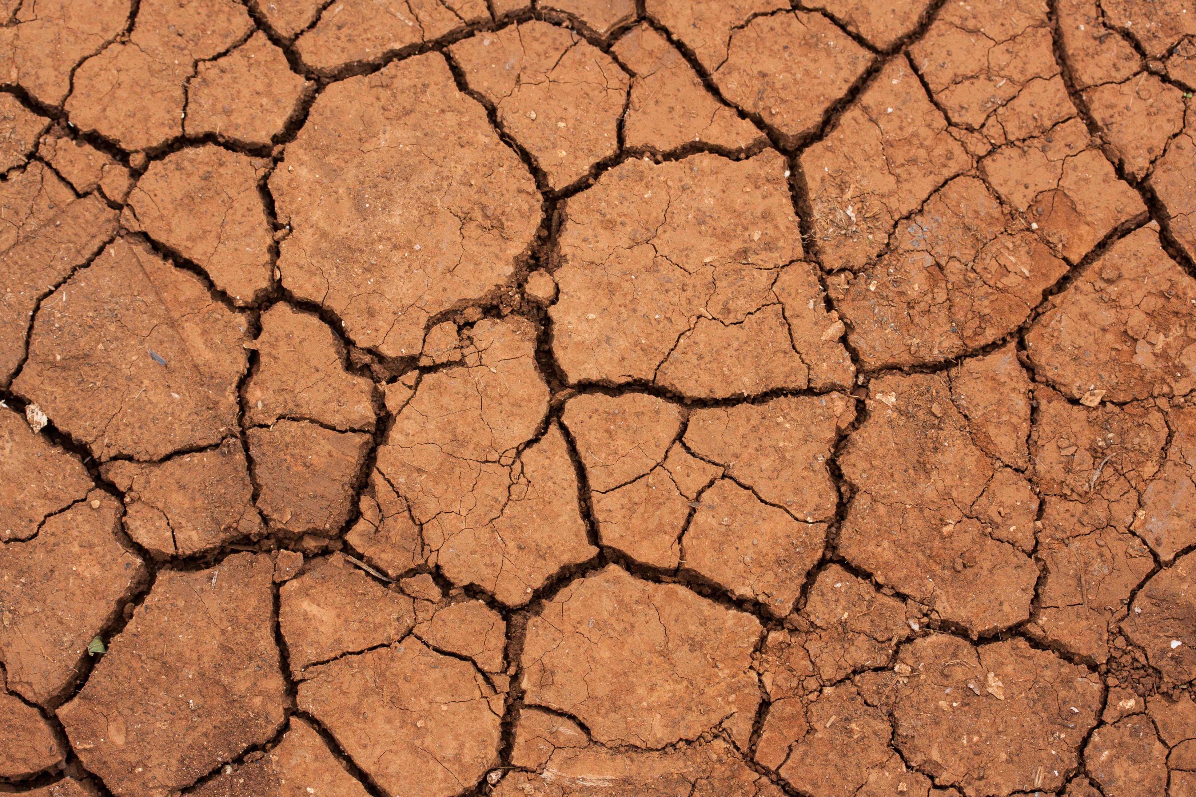 dry-desert-floor