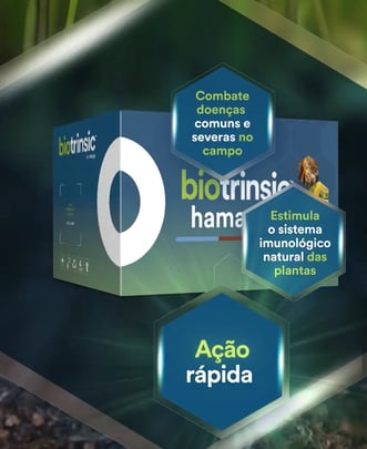 hamatum-benefits