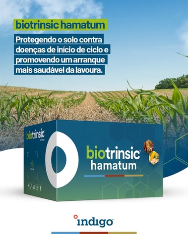 hamatum-site
