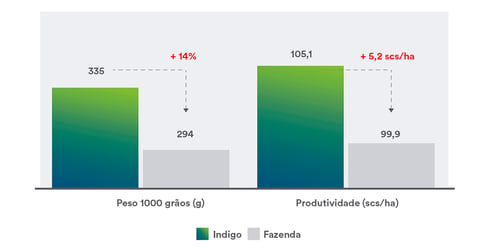 Gráfico comparando a produtividade da plantação de milho na fazenda em relação ao uso do biotrinsic simplex milho verão 20