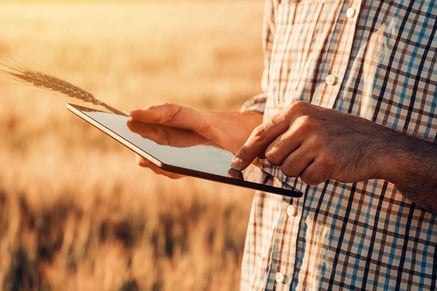 agricultor mexendo em um tablet em meio a plantação