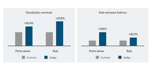 
Gráfico de barras verticais comparando um aumento na porção aérea e na raíz quando se é utilizado o biotrinsic simplex.