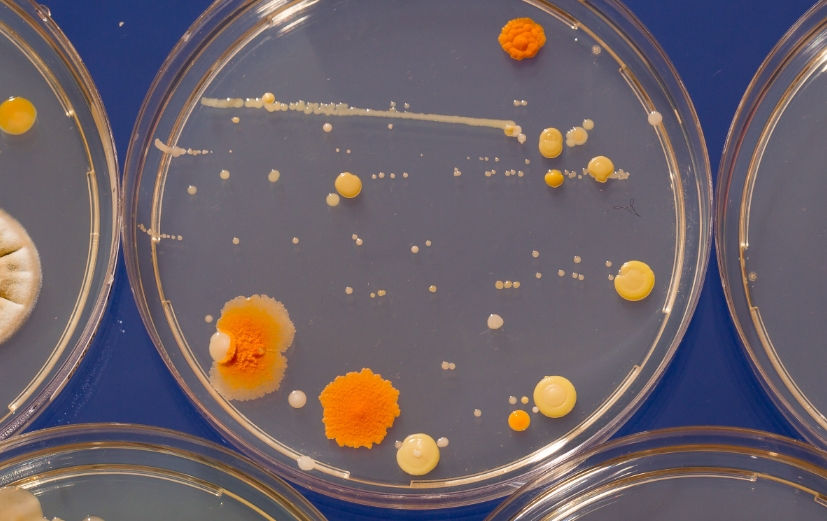 Microbiologia para biológicos de alta performance