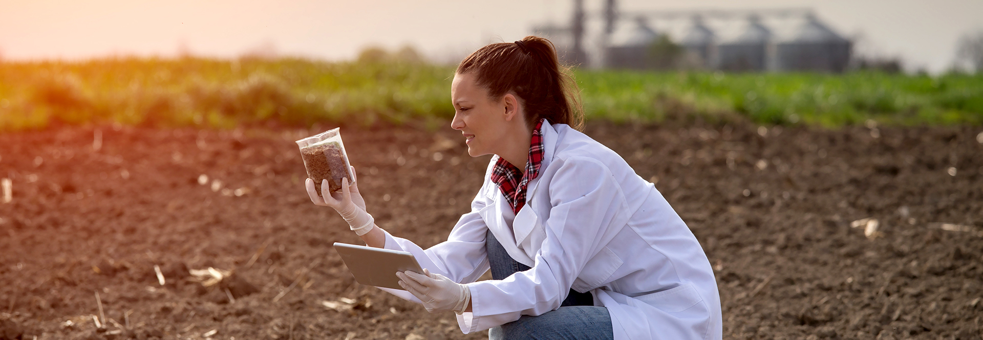 Indigo Head de Marketplace entre as 100 mais poderosas