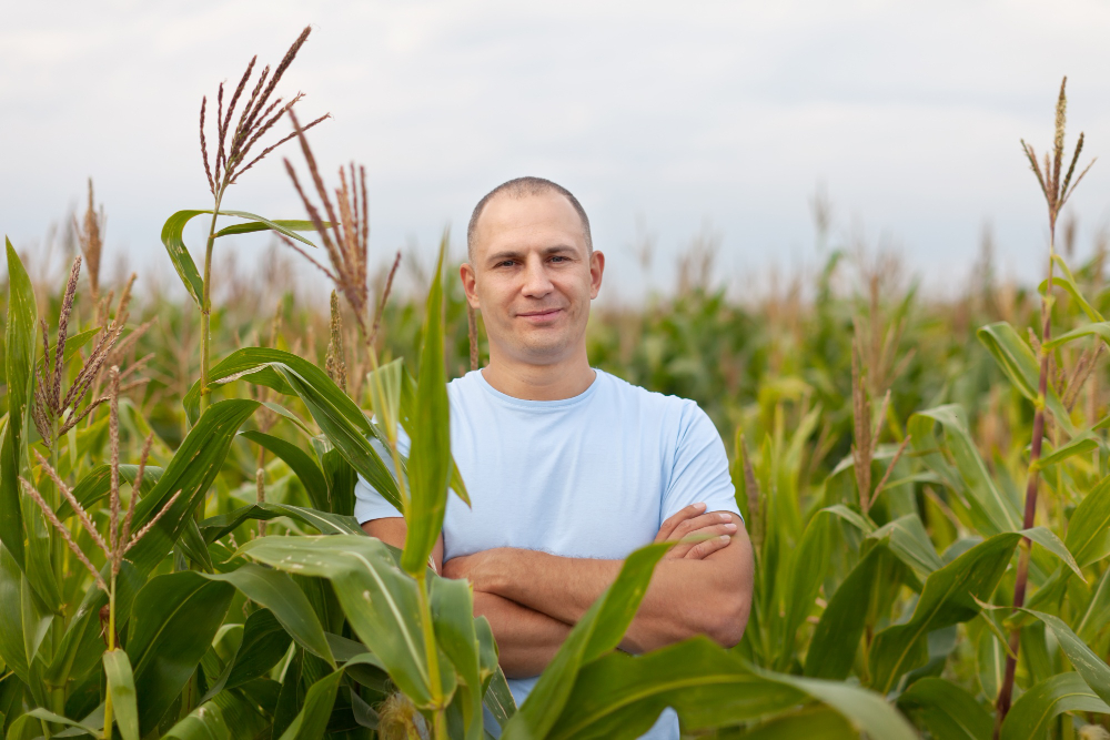 agricultor de braços cruzados em milharal.